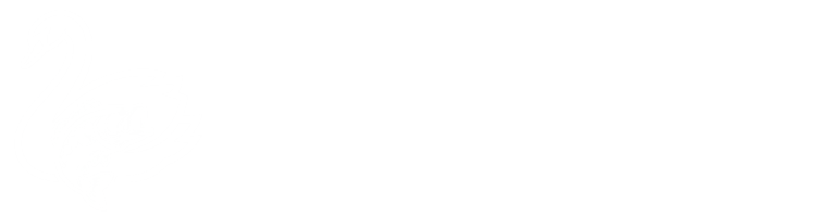 スワンフィッシングガイドサービス